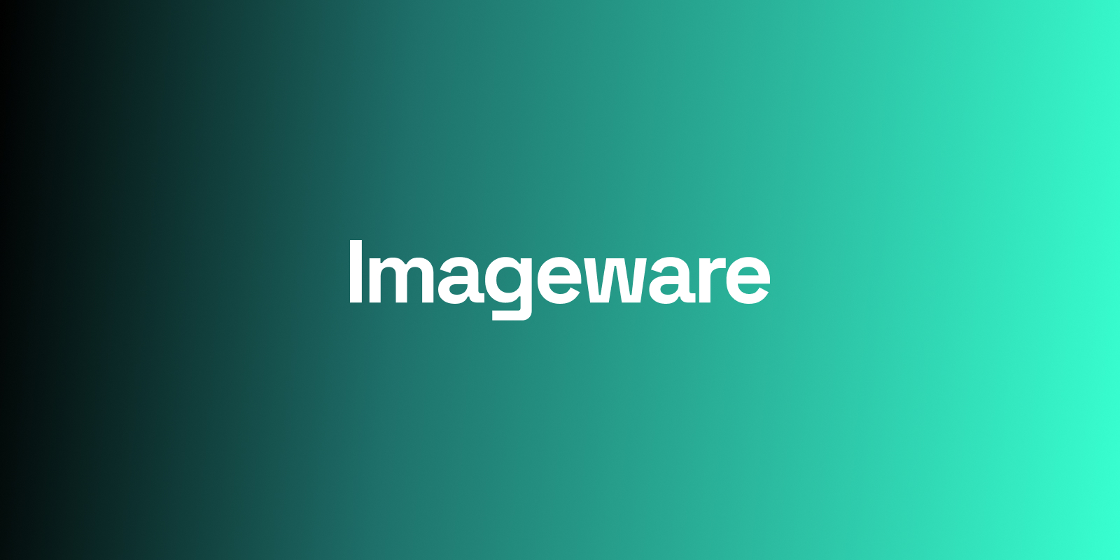 imageware website preview